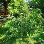 Artist's House For Rent * Guerande