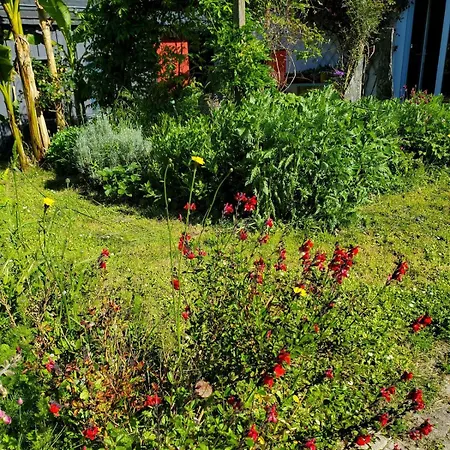 Artist's House For Rent