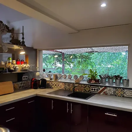 Artist's House For Rent Ferienhaus