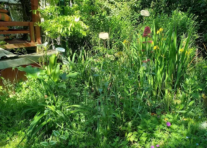 Artist's House For Rent * Guérande