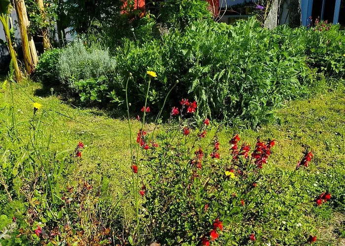 Artist's House For Rent