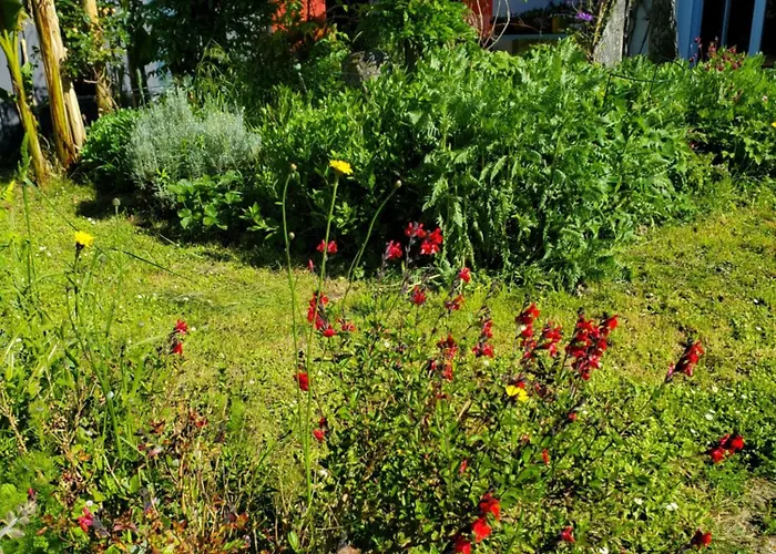 Casa vacanze Artist's House For Rent